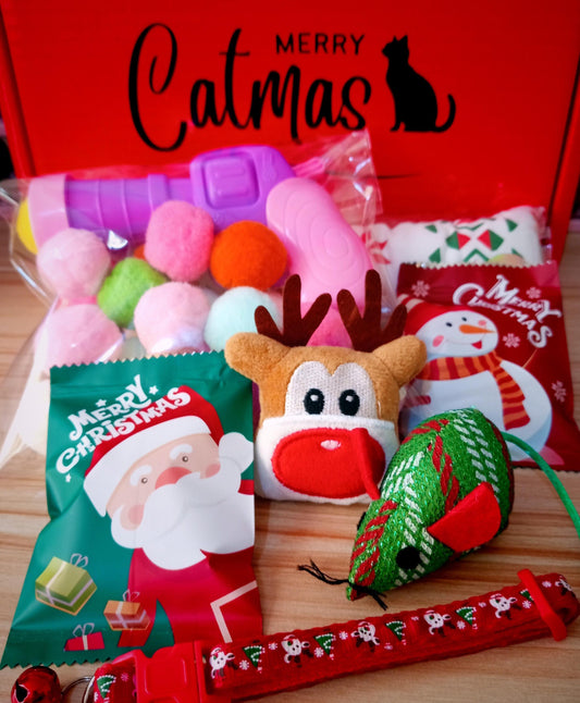 Merry Catmas Gift Box - Christmas Toys & Treats Cat Gift Box